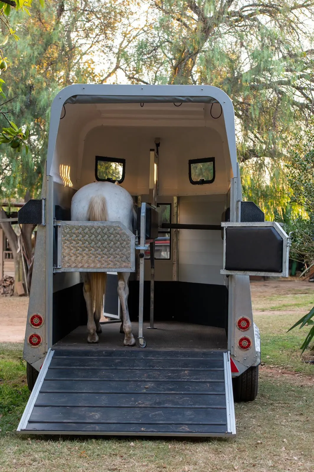Maximus 2 Berth Horsebox: Loaded and ready: rear ramp down, rear gates open