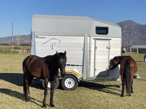 Maximus 2 Berth Horsebox: Side horses